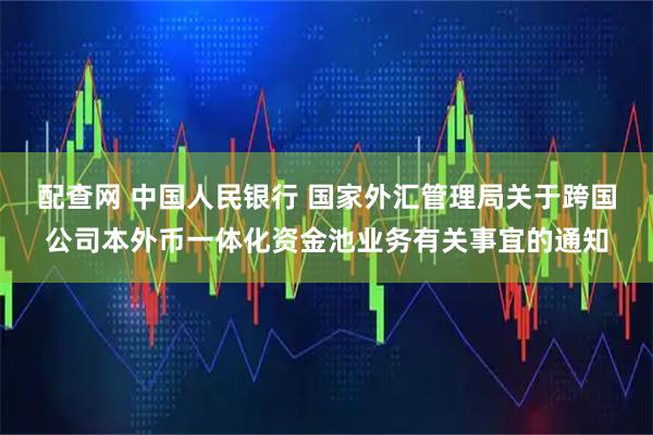 配查网 中国人民银行 国家外汇管理局关于跨国公司本外币一体化资金池业务有关事宜的通知