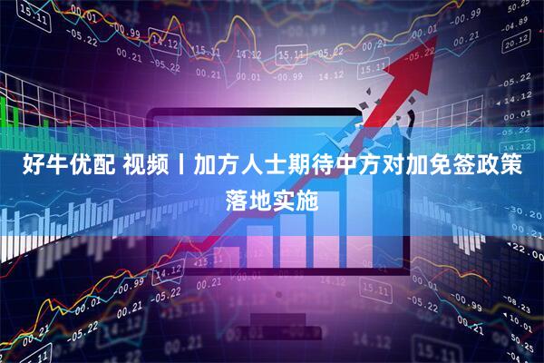 好牛优配 视频丨加方人士期待中方对加免签政策落地实施