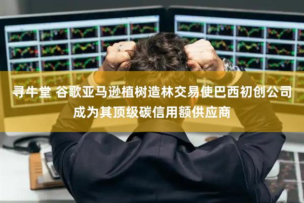 寻牛堂 谷歌亚马逊植树造林交易使巴西初创公司成为其顶级碳信用额供应商